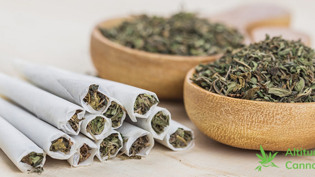 the tobacco atlas Download Statistics About Tobacco Use