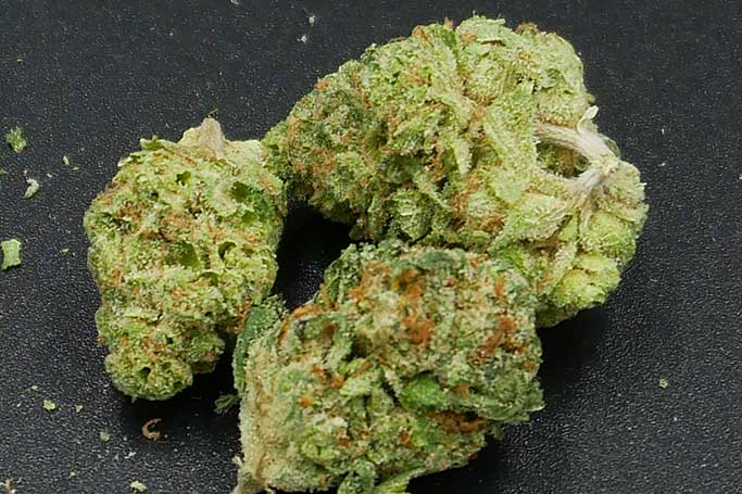 AOC Blue Cookies Premium Medical Marijuana in Dillon, CO - Altitude Organic Cannabis