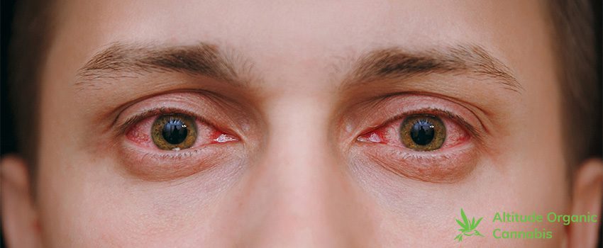 Download What Causes Bloodshot Eyes? - Altitude Organic Cannabis